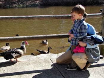 Administración social bajo la perspectiva del racionalismo