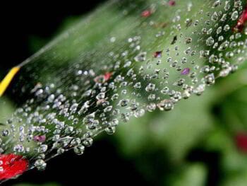 Cómo escoger correctamente su proveedor de soluciones en Internet…