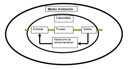 Sistema, estructura básica de la relación comunidad medioambiente.