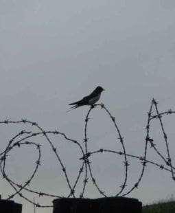 Cómo superar una crisis empresarial con éxito, 100 tips