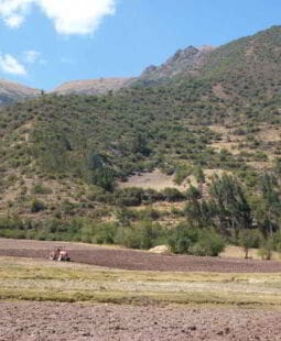 Estudio de prefactibilidad para la siembra del cultivo de la Maca en la provincia de Daniel A Carrión, Perú