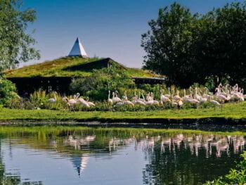 La educación ambiental y sus desafíos en la sociedad del siglo XXI