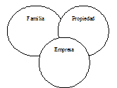 tres círculos de Davis – Tagiuri