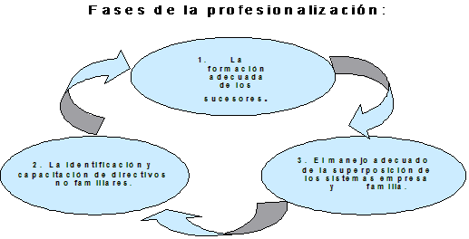 fases de la profesionalización