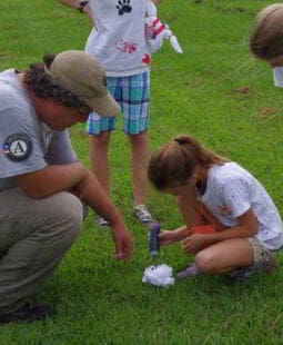 Concepto de responsabilidad dentro del Coaching Ontológico