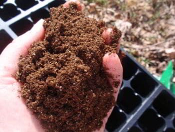 Emprendimiento. Excelentes ideas no son sinónimo de éxito Emprendimiento. Excelentes ideas no son sinónimo de éxito