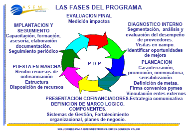 Fases del PDP