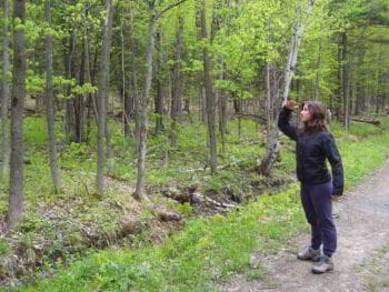 Planificación para equilibrar lo importante y lo urgente en la empresa