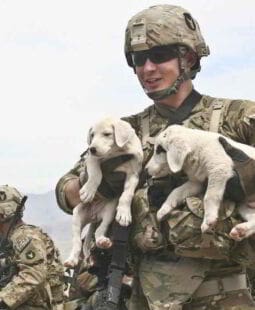 Manejo de conflictos. Los dos puntos de vista y el arte de escuchar