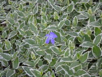 Evite fallos de selección, 8 tips para contratar mejores empleados