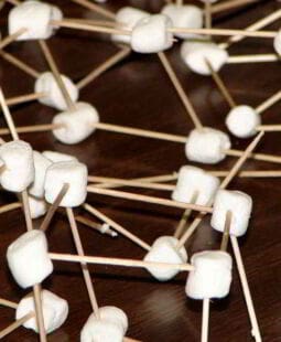 5 niveles de liderazgo en los negocios multinivel