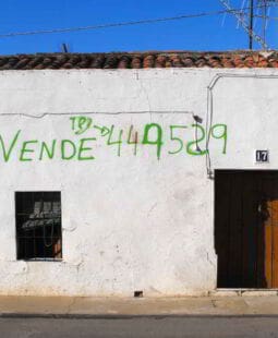 Portales web inmobiliarios. Funciones y características fundamentales