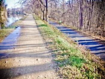 Cómo tomar una decisión profesional adecuada para ti