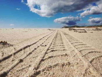 4 reflexiones para descubrir tu vocación