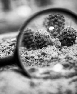 Herramientas para estudiar el mercado para tu sitio web