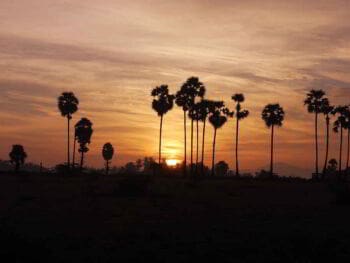 Liderazgo y cambio organizacional. Un nuevo amanecer ante las crisis