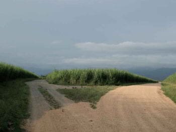 Liderazgo. Diferenciación y decisión de cambio a mitad del camino
