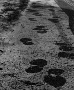 6 ventajas de un sistema de pasos para entregar contenido en tu sitio web de membresía