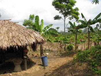 Urabá en Colombia. Banano, conflicto armado, narcotráfico, paz y responsabilidad social Urabá en Colombia. Banano, conflicto armado, narcotráfico, paz y responsabilidad social