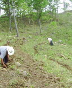 Relaciones económicas, productivas y técnico vocacionales en las Comunidades de Intibucá Honduras