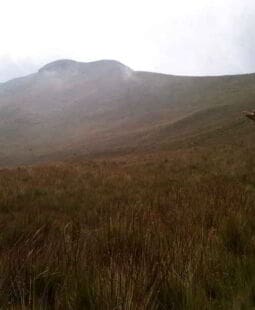 El fin que buscas en la vida ante tiempos buenos y difíciles