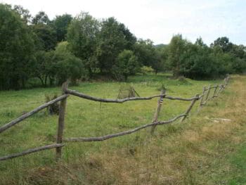 Estrategia para tu negocio web de membresía ¿Porqué no debes usar estrategias cavernícolas hacia tus clientes?