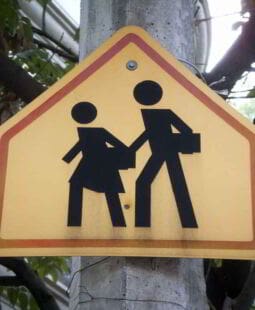 Educación para el desarrollo sostenible. Lectura