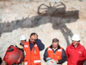 Gestión de la seguridad y salud en el trabajo