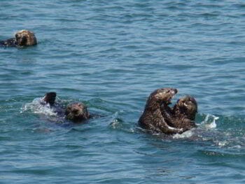 El delito de coacción en el código penal peruano