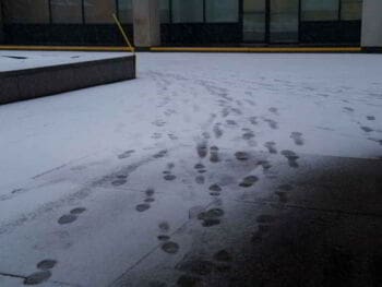 Pasos para formular la planificación Pasos para formular la planificación