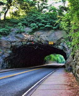 Pase del modelo Capitalista al modelo Socialista y su proceso de transición