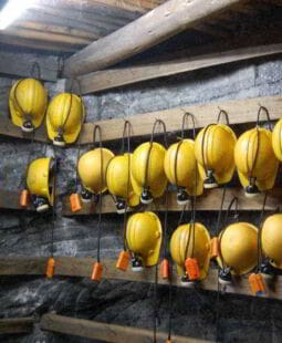 Situación laboral en Colombia frente a los requisitos del TLC con Estados Unidos