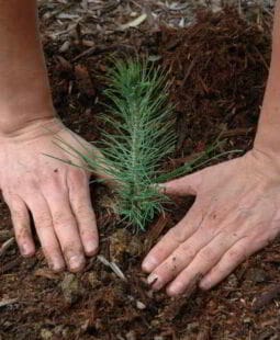 Modelo de sustentabilidad para el desarrollo sostenible