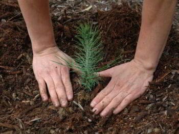 Modelo de sustentabilidad para el desarrollo sostenible Modelo de sustentabilidad para el desarrollo sostenible