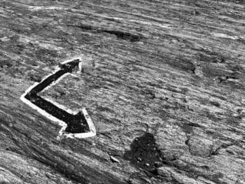 Toma de decisiones de los agentes económicos