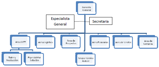Estructura organizacional de Maxso