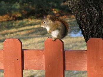 3 ideas que obstaculizan el crecimiento de tu negocio o proyecto