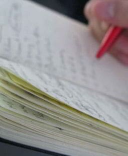10 actitudes para el desarrollo personal y profesional
