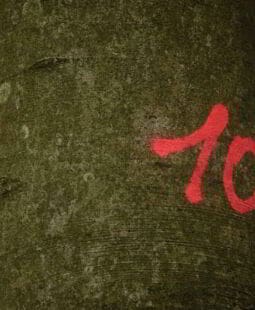 10 puntos para verificar si tu sitio de membresía tendrá éxito