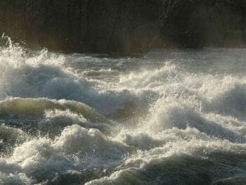 Negocios en internet: La cruda realidad online Negocios en internet: La cruda realidad online