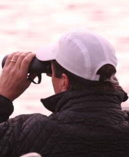 Gestión financiera. Cuando vender la empresa parece la única salida