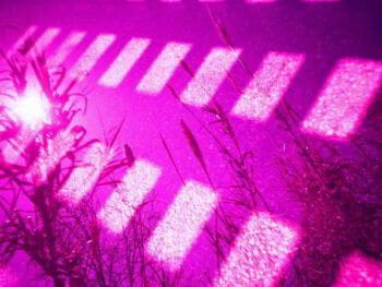 Gestión de procesos en el centro de idiomas de la Universidad Bolivariana de Venezuela