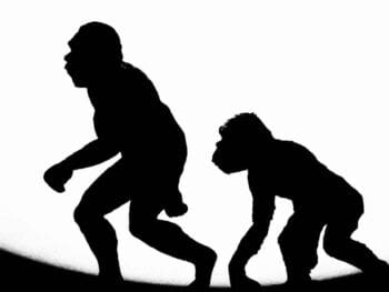 Evolución de la administración y el desarrollo empresarial Evolución de la administración y el desarrollo empresarial