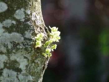 El crecimiento personal y la cultura del emprendimiento
