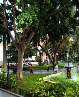 Aspectos de las relaciones entre el poder local y las asociaciones vecinales en Venezuela
