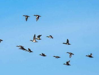 Empowerment basado en un sistema de competencias Empowerment basado en un sistema de competencias