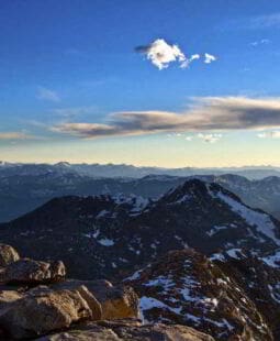 Procesos estratégicos en la alta dirección