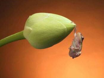 Cómo salir de los momentos difíciles Cómo salir de los momentos difíciles