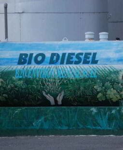 Biodiesel, sustitución de combustibles fósiles por renovables