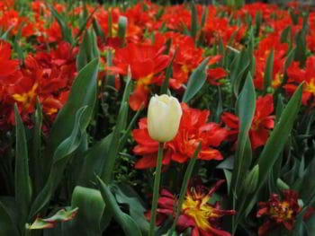 Cómo elegir a un empleado